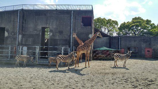 Miyazaki City Phoenix Zoo